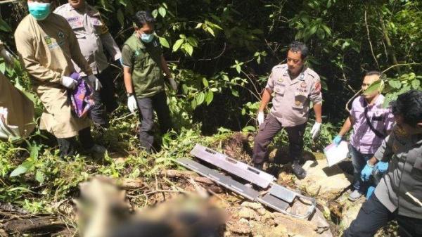 Jessica Sollu karyawati perusahaan nikel ditemukan tak bernyawa di Hutan Kasintuwu, Luwu Timur, Sulawesi Selatan, Rabu (13/11/2024).