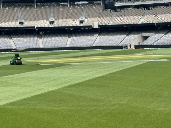 lp2ajd4g optus stadium pitch 625x300 20 November 24