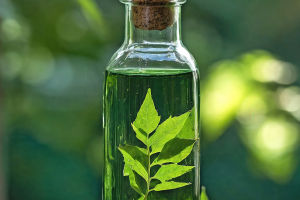 Dandruff? Neem Oil