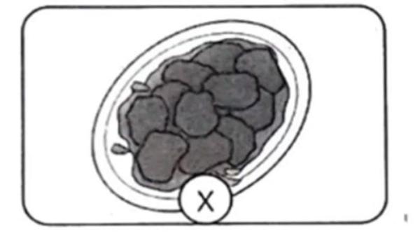 gambar Bahasa Inggris soal8