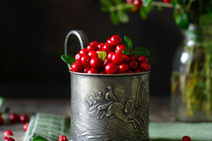 Lingonberry Benefits
