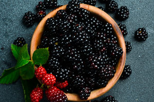 Blackberry Picking Tips