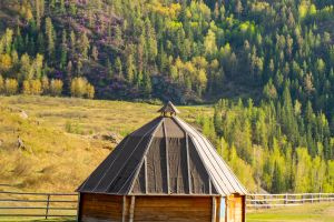 Altai’s Timeless Beauty