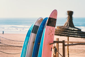 Surfboard Selection Guide