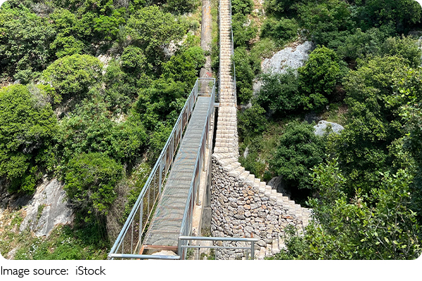 Durham, Unscripted Wonder