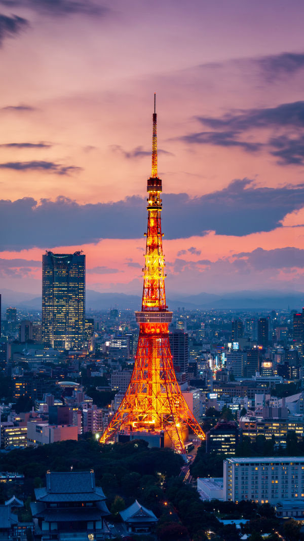 Tokyo After Dark