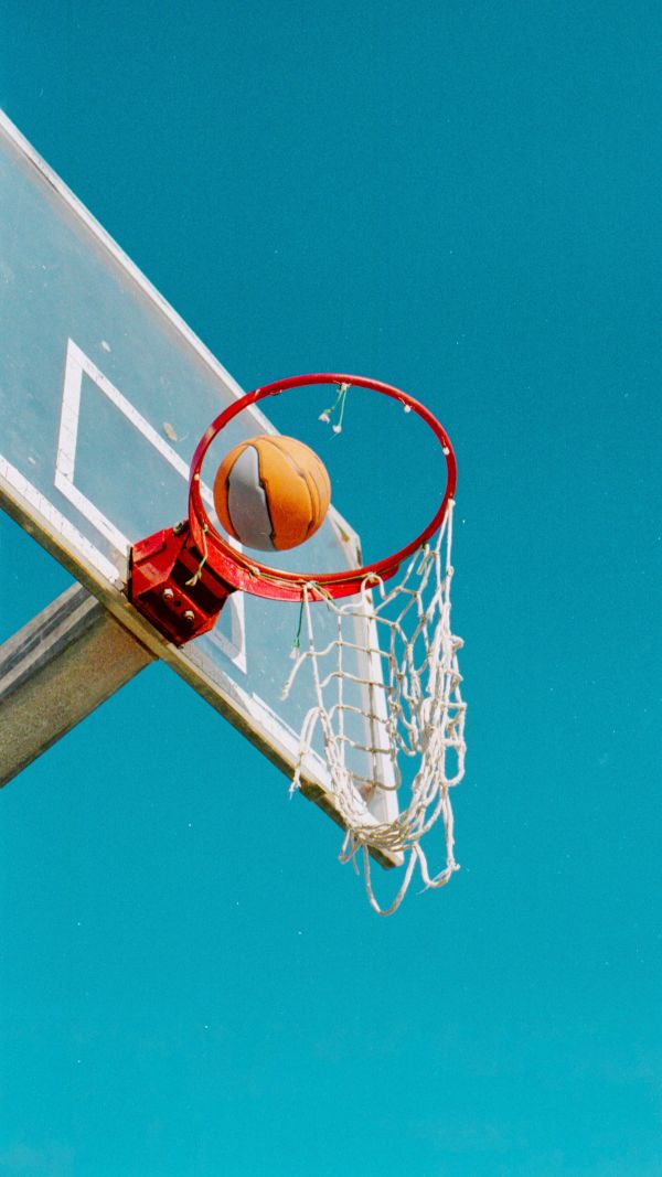 Basketball Legacy