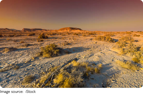 Arte en el Desierto