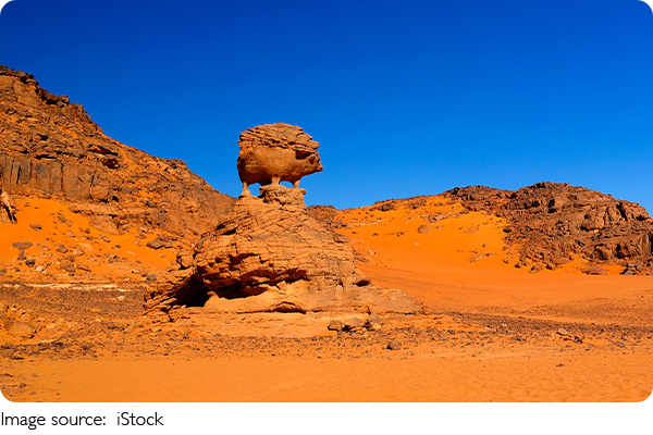 Arte en el Desierto