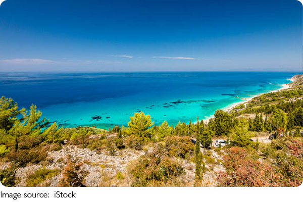 Salzige Überlebenskünstler