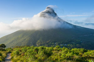 Table Mountain’s Magic