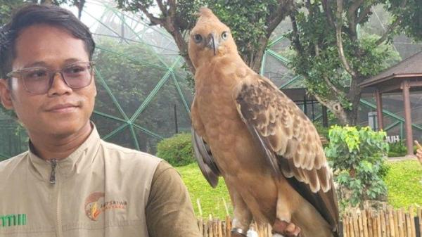 Pertunjukan presentasi satwa di Taman Burung TMII