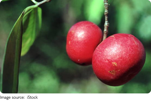 Why Eat Seasonal and Local?