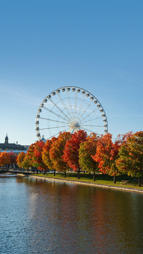 Perfect Montreal Getaway