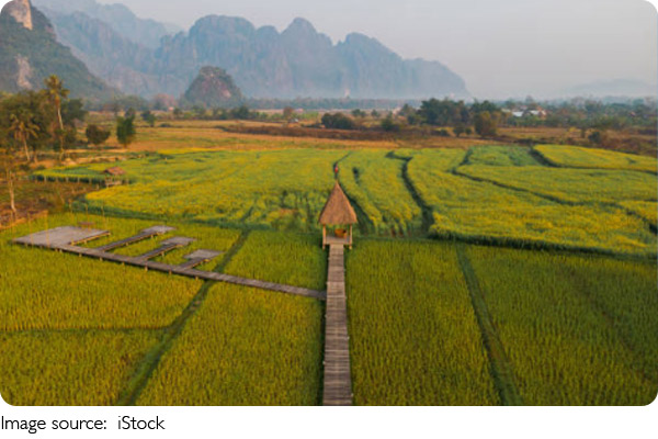 Nâng Tầm Hiệu Quả Canh Tác