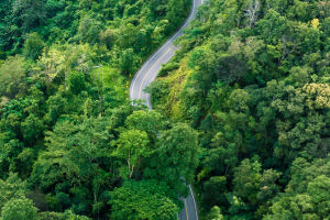 Winter Escape to Nan