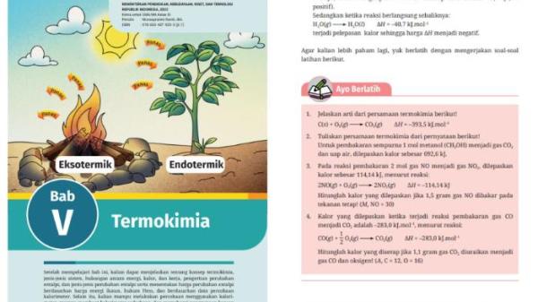 Buku Kimia Kelas 11 Halaman 135 Kurikulum Merdeka