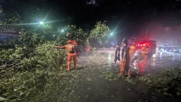 Pohon tumbang di Taman Suropati (Rahmat Harman Pulungan/warga)