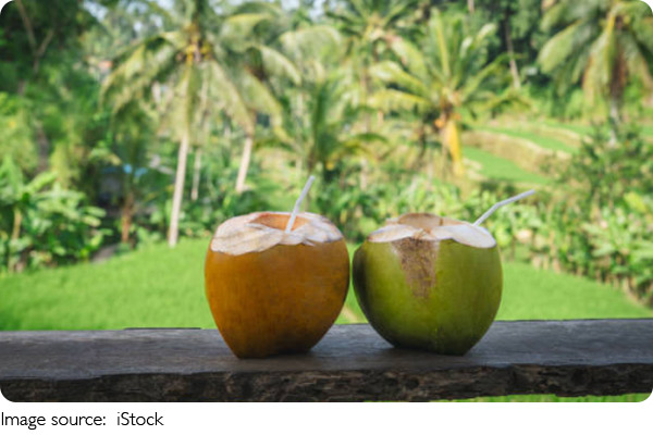 Coconut Seed Drift
