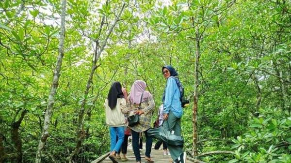 Suasana Mangrove Pulau Burung.