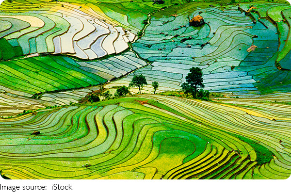 Vietnam viagens