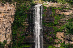 Nature and Tranquility