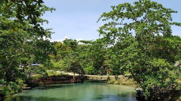 WISATA PAPUA - Tampak objek wisata Kali Biru Genyem di Kampung Berab, Distrik Nimbokrang, Kabupaten Jayapura, Papua, Minggu (16/1/2022).