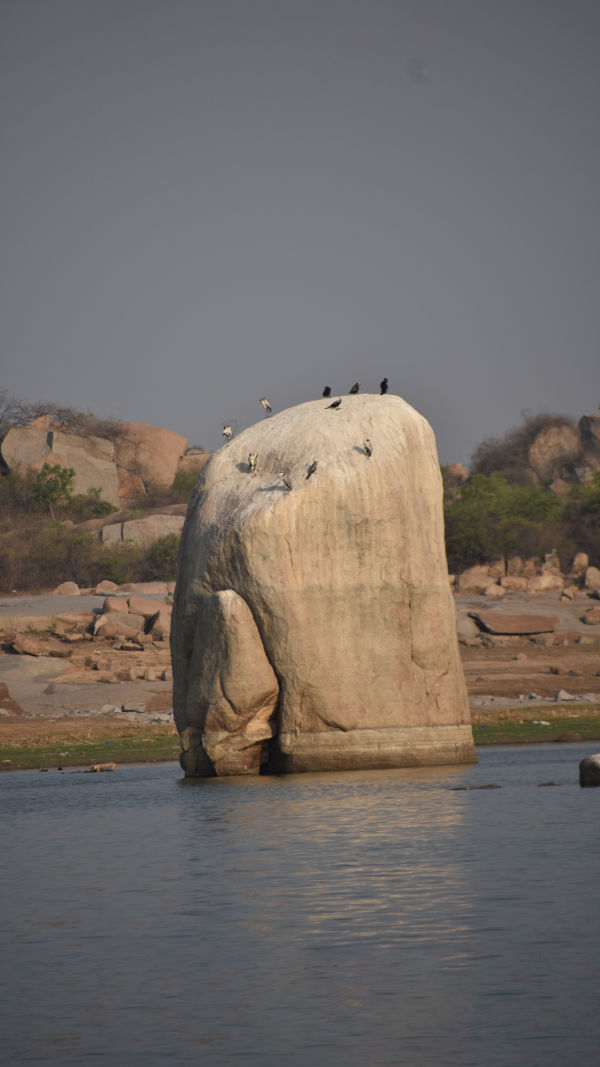 Sameerpet Lake: Must See!