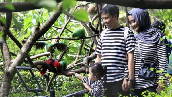 Pengunjung memberi makan burung saat berlibur di Bandung Zoo atau Kebun Binatang Bandung, Jalan Tamansari, Kota Bandung, Jawa Barat, Kamis (26/12/2024).