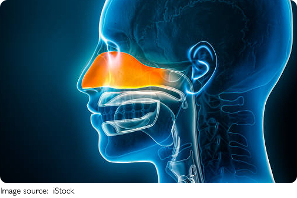 Beat Rhinitis Fast