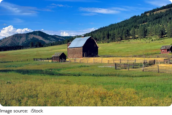 Поймай свет, как художник