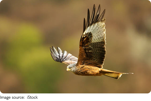 Descubrimientos Asombrosos