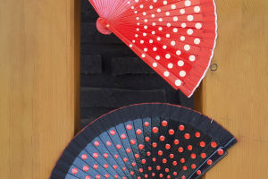 Spanish Hand Fan