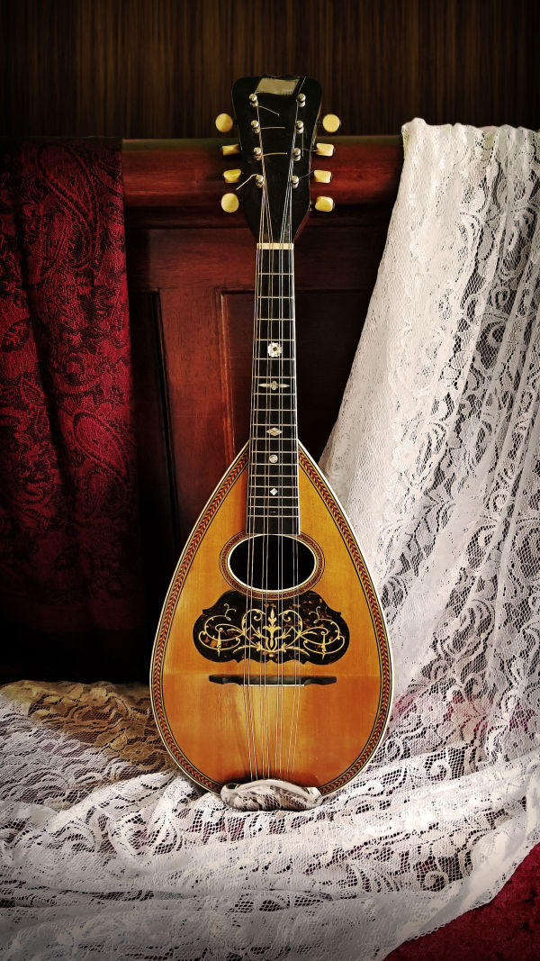 Mandolin Instrument Facts