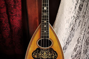Mandolin Instrument Facts