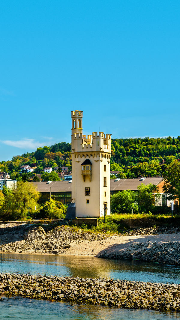 Bingen: Castles & Views