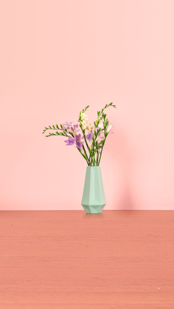 Freesia Facts You’ll Love!