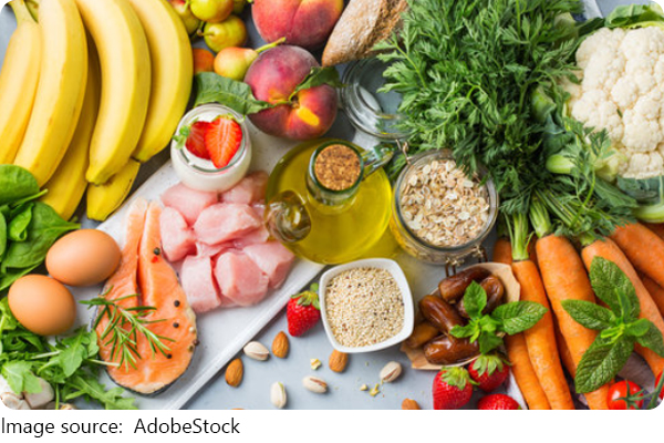 Alimentação equilibrada