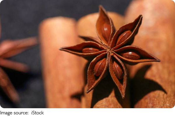 Star Anise Tea Guide