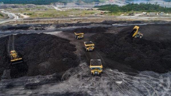 daftar 6 lowongan kerja perusahaan tambang batu bara PT Adaro Energy bagi lulusan SMA/SMK -S1, penempatan di Kalimantan, simak Persyaratan lengkapnya. (adaro.com)
