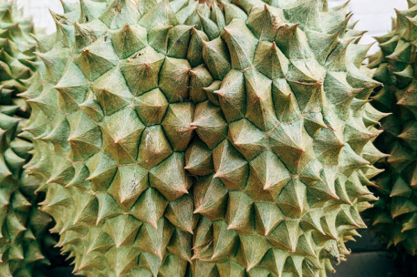 Ilustrasi ciri durian matang di pohon. Foto: Pexels.com/Markus Winkler