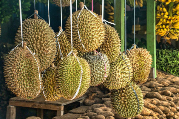 Ilustrasi Cara Memilih Durian Lokal yang Bagus, Pexels/Tom Fisk