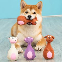 toys for pets