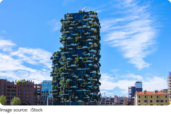 Strange Architectures