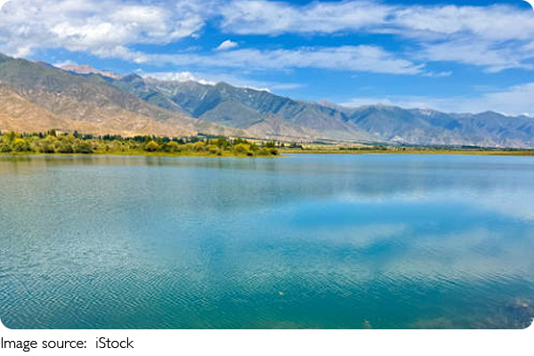 İklim Değişikliği ve Yosun