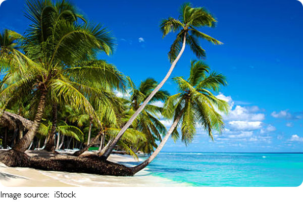 Новые виды растений