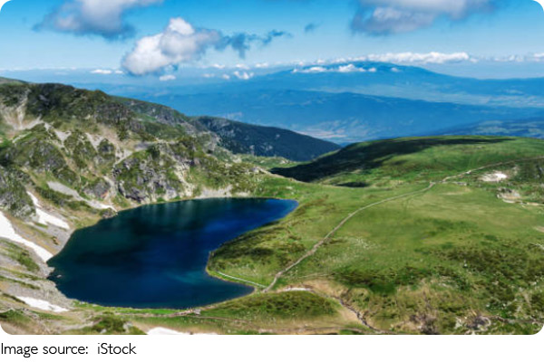 Ünlü Desteği