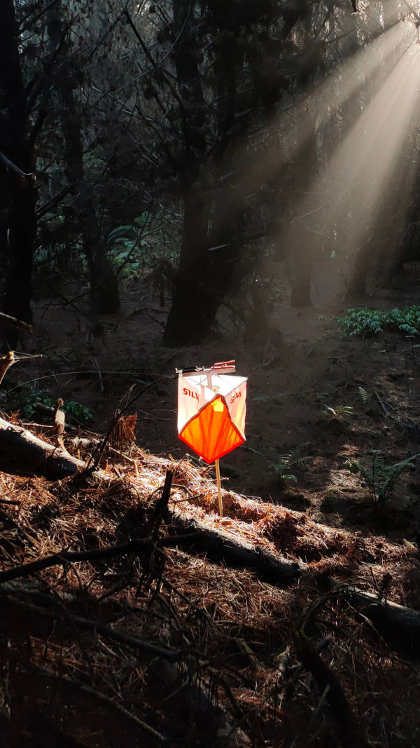 The Power of Orienteering