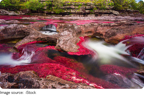 Five Colors River