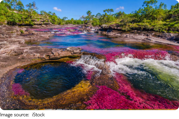 Five Colors River